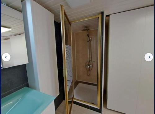 Koupelna v ubytování Duplexstudio Villa Nova