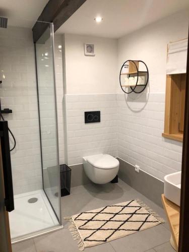 a bathroom with a toilet and a glass shower at Pension Patz in Schladming
