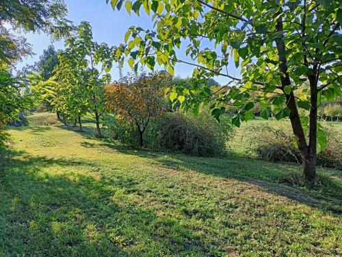 Κήπος έξω από το Eko dan