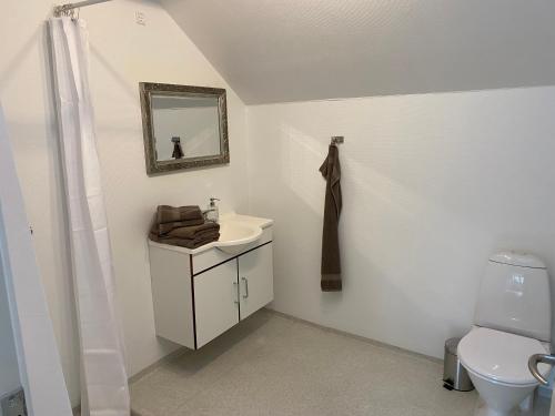 Koupelna v ubytování Riberdyb