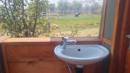 ein Waschbecken im Badezimmer und ein Fenster mit einem Elefanten auf dem Feld in der Unterkunft Khwai Mokoro Safaris and Campsites in Khwai