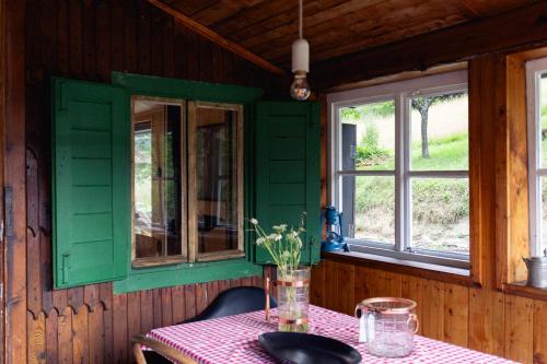 ヴェルケー・カルロヴィツェにあるChata u studánkyの花瓶テーブル付緑室