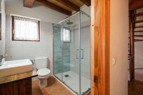 a bathroom with a shower and a toilet and a sink at Casa la Encina de Pancar in Pancar