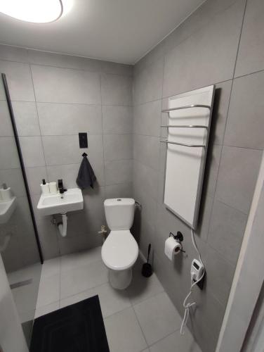 a bathroom with a white toilet and a sink at Chata Luisa in Nová Komora