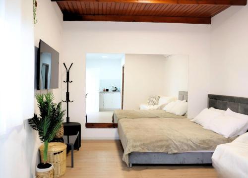 ein Schlafzimmer mit zwei Betten und einem Spiegel in der Unterkunft Suite Golan in Neot Golan