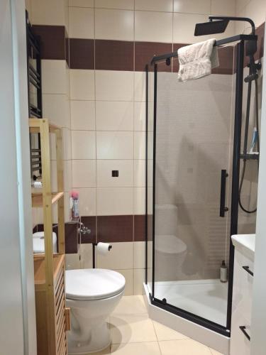 ein Badezimmer mit Dusche und Toilette in der Unterkunft Studio przy Szpitalu in Stettin