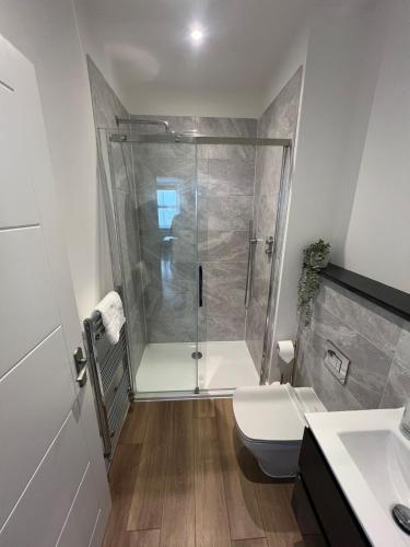 a bathroom with a shower and a toilet at 1 Bed Apartment in Town Centre in Newquay