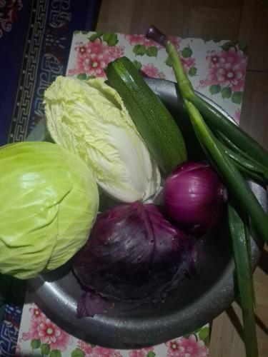 Jídlo v ubytování v soukromí nebo okolí