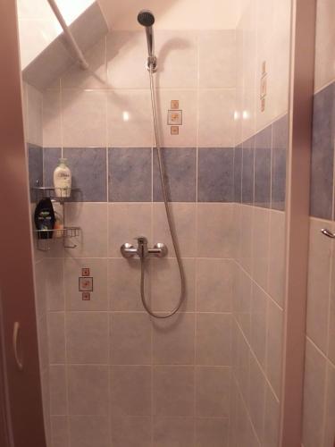 a shower with a hose in a bathroom at Penzion Netolice in Netolice