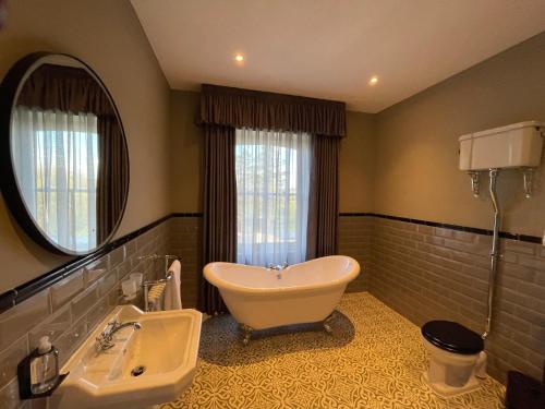 Ένα μπάνιο στο Y Seren Hotel