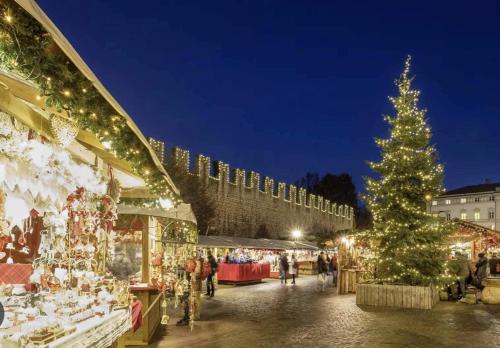 Photo de la galerie de l'établissement Trento best home, à Trente