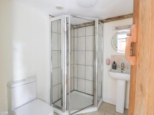 Ciliau-AeronSecret Garden Cottage的带淋浴、马桶和水槽的浴室