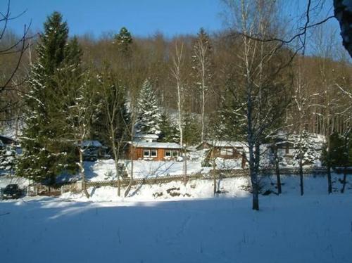 a snow covered yard with a house and trees at Ferienhaus In Neustadt Harz Mit Grill in Harztor