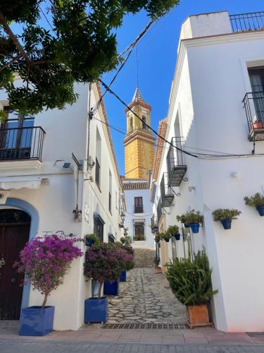 Zazz Estepona photo 26