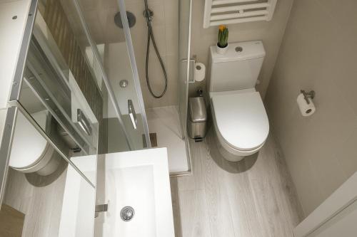 a white bathroom with a toilet and a shower at MODERNO NUEVO Luminoso WI-FI PLAZA DEL PILAR 2 in Zaragoza