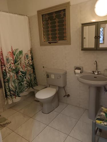 un bagno con un water e un lavandino di Golden sunshine a Paralimni