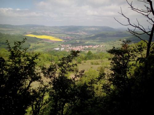 Blick auf ein Tal mit Bäumen im Vordergrund in der Unterkunft Gemütliches Ferienhaus in FischbachRhön mit Schönem Garten in Kaltennordheim