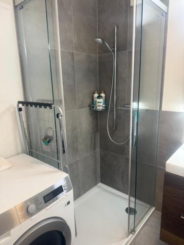 una ducha con puerta de cristal en un baño en Luxury Studio Happy Life, en Blumenstein