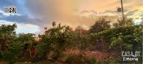 Ein Feld mit Bäumen und einem Regenbogen am Himmel in der Unterkunft Chalé tribal Vermelho in Alto Paraíso de Goiás