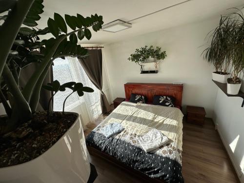 Jungle style 2 lockable bedrooms, 10 mins to center, top floor balcony with Prague view, king-size bed, high speed Internet, coffee