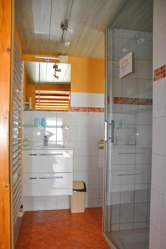 a bathroom with a shower and a sink at Ferienhaus Neubert in Wolkenstein