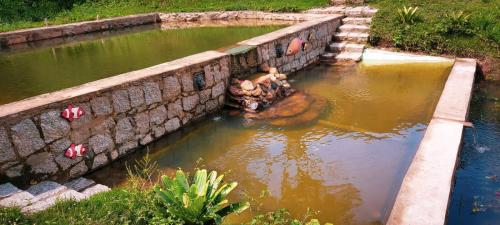 Naturlandschaft in der Nähe des Gasthauses
