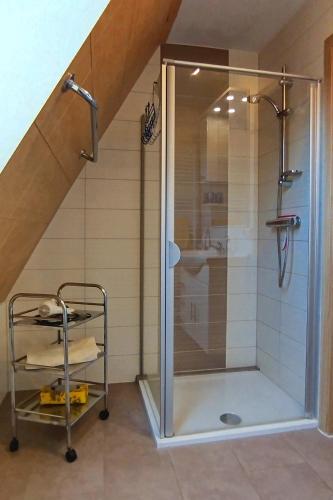 a shower with a glass door in a bathroom at Ferienwohnung Neubert in Wolkenstein