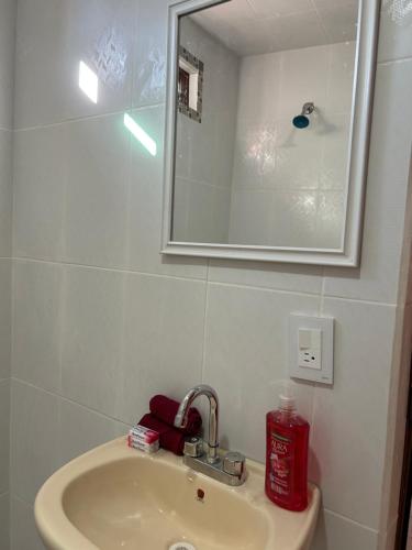 Vannituba majutusasutuses Ruby Grey Suite