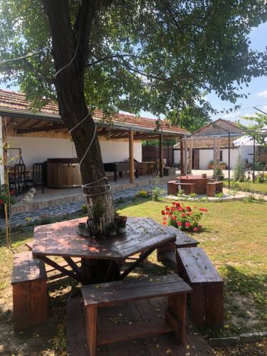 Κήπος έξω από το Bulgarka Guest House - Булгарка