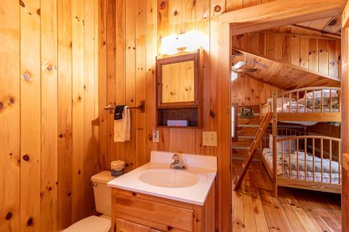 Un baño con lavabo y una litera. en Daniel Boone Lodge, en Boone