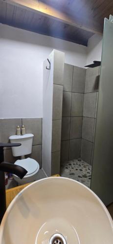 un bagno con lavandino e WC di MONTE CABAÑA San Clemente a San Clemente