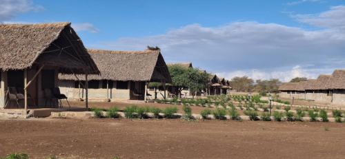 Κήπος έξω από το Osutua Rafiki Camp Ltd