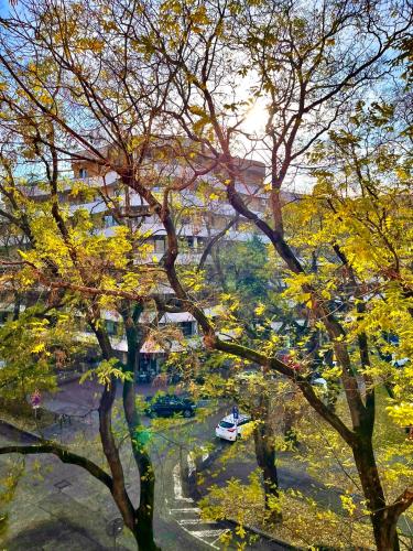 Zahrada ubytování Apartmán Kukorelli