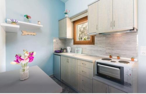 Η κουζίνα ή μικρή κουζίνα στο Loukia's apartment no 2