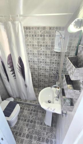 a bathroom with a sink and a toilet and a shower curtain at Loukia's apartment no 2 in Mesochórion