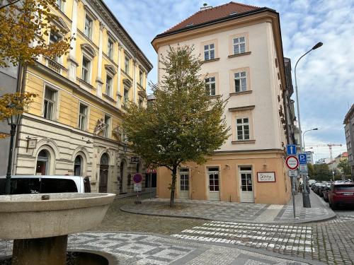 Vip Prague Apartments Petrska 25