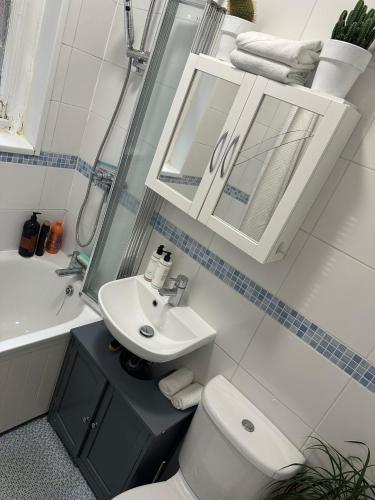 a bathroom with a toilet and a sink and a mirror at Effra Mansions in London