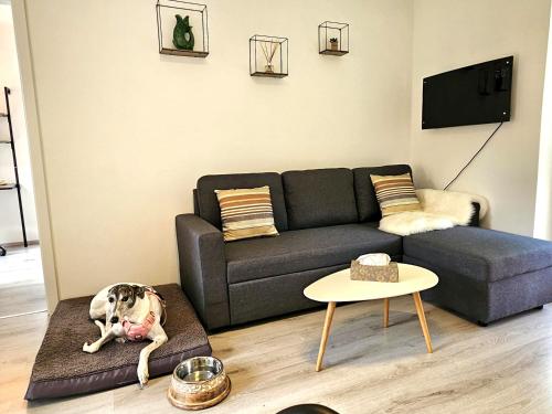 a dog laying on a rug in a living room at Cozy Apartment with Panoramic view in Miletín