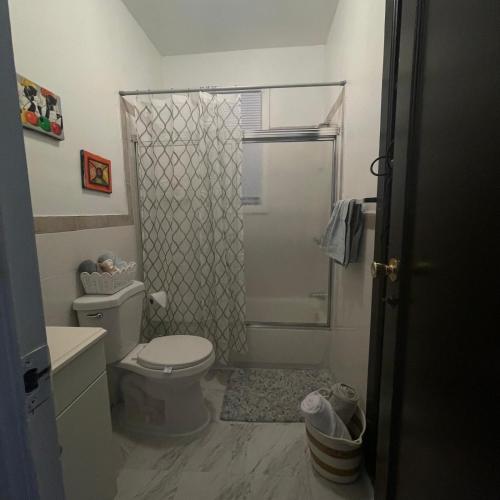 a bathroom with a toilet and a shower at Comodo y economico Apartamento in North Beach