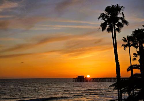 a sunset on the beach with a palm tree at 501P-12 Spectacular Ocean Views Pet Friendly in Oceanside