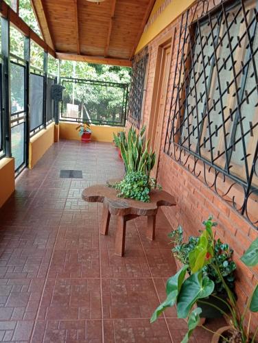 eine Veranda mit einer Bank und einigen Pflanzen in der Unterkunft Silvia in Puerto Libertad