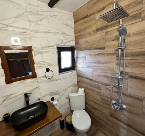 a bathroom with a toilet and a sink and a shower at Bachvarov house Бъчваровата къща in Palitsi