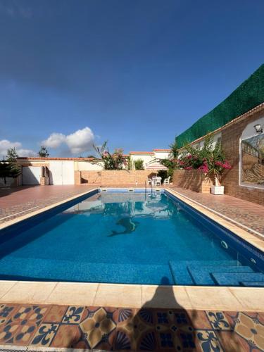 une grande piscine avec de l'eau bleue dans l'établissement Résidence El Boustane, à Skikda