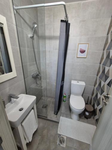 a bathroom with a shower and a toilet and a sink at Studio Apartman 47A in Valjevo