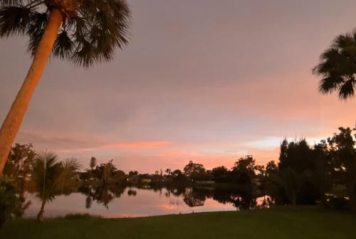 Природа в окрестностях апартаментов/квартиры