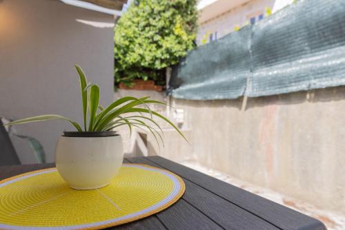 Old house with terrace - for guests on a budget