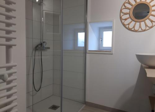 ein Badezimmer mit Glasdusche und Waschbecken in der Unterkunft Gite Le Fournil in Saint-Hilaire-la-Palud