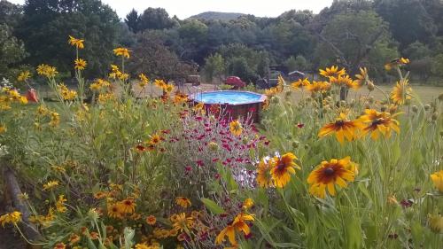 eine Blumenwiese mit einem Picknicktisch in der Mitte in der Unterkunft Wohnung Du Coucou In Lichtenberg in Lichtenberg