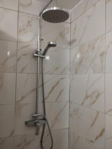 a shower with a shower head in a bathroom at Studio Le Balisier in Caritan