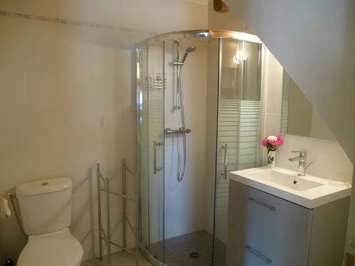 ein Badezimmer mit Dusche, Toilette und Waschbecken in der Unterkunft Gite L'Etable in Saint-Hilaire-la-Palud